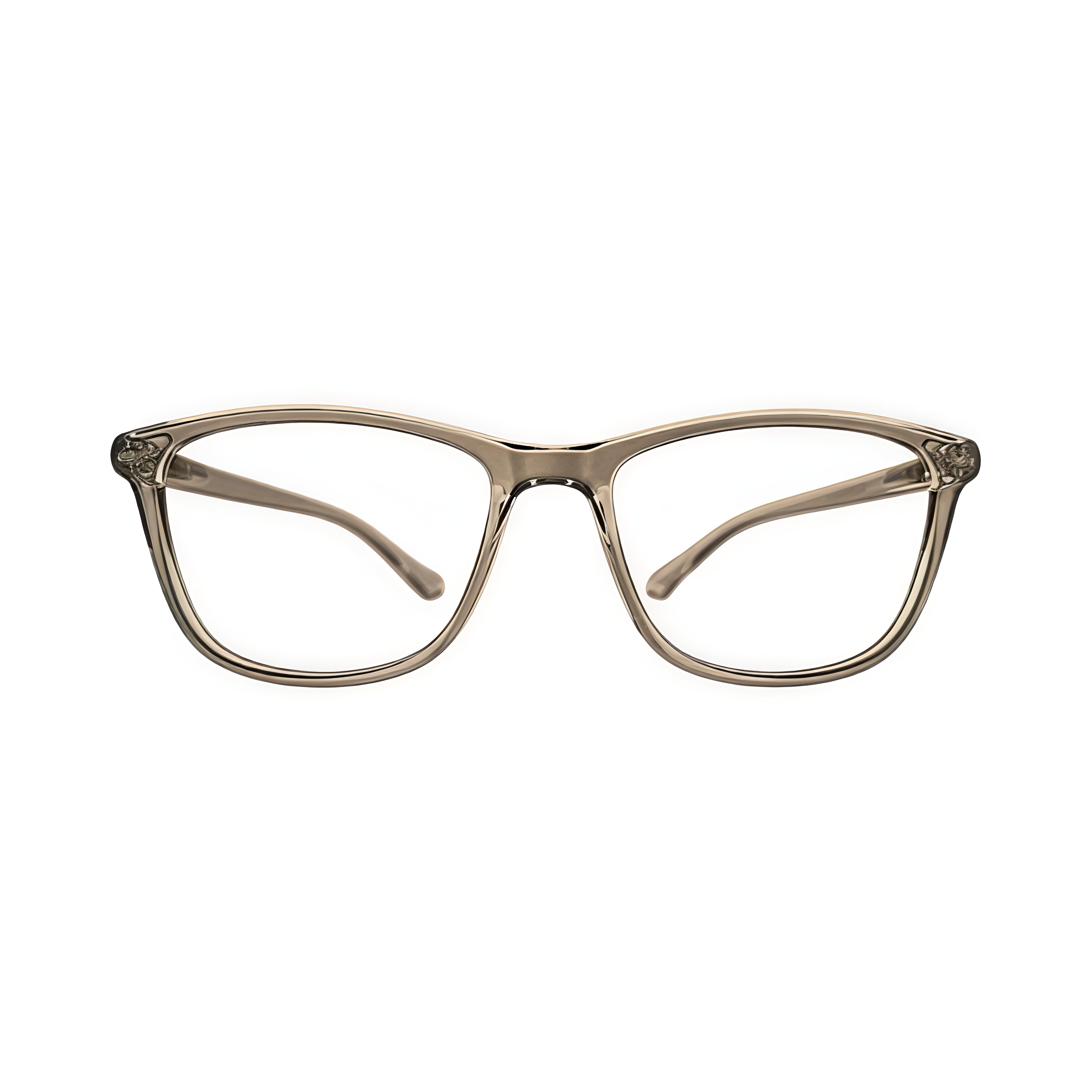 Stinic Eyewear Wayfarer Mini Transparent Brown